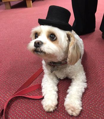 Tuppence, top hat