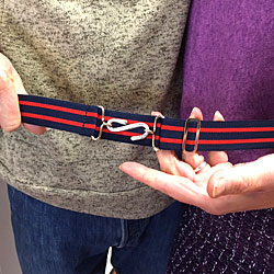 snake belt