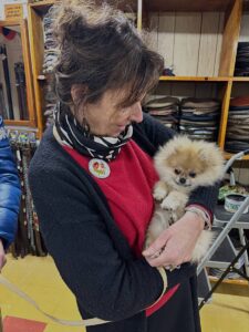 Snookette Sue with visiting Pomeranian at T Snook, hat shop in Bridport, Dorset, England