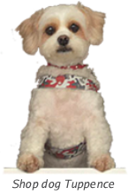 Shop dog Tuppence at T Snook, hatters of Bridport, Dorset, UK