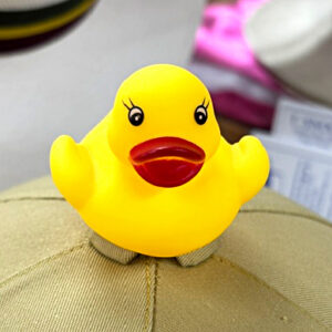 rubber duck